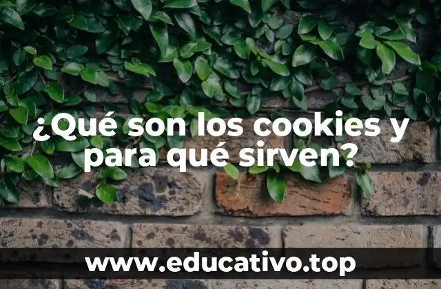 ¿Qué son los cookies y para qué sirven?