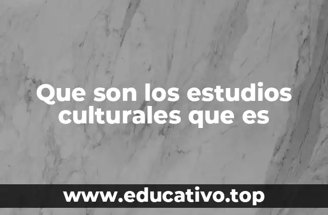 Que son los estudios culturales que es