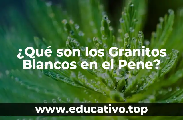 ¿Qué son los Granitos Blancos en el Pene?