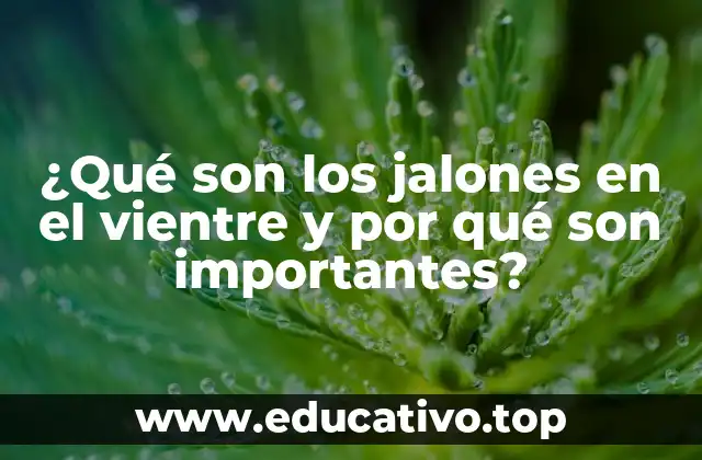 ¿Qué son los jalones en el vientre y por qué son importantes?