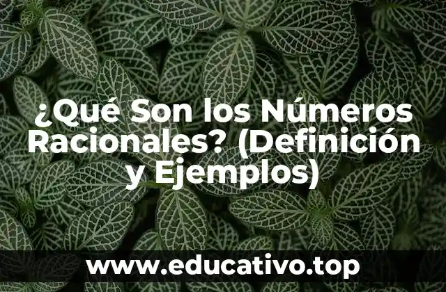 ¿Qué Son los Números Racionales? (Definición y Ejemplos)