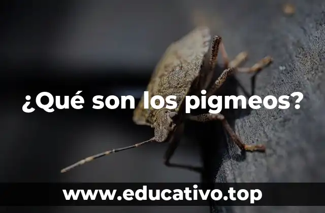 ¿Qué son los pigmeos?