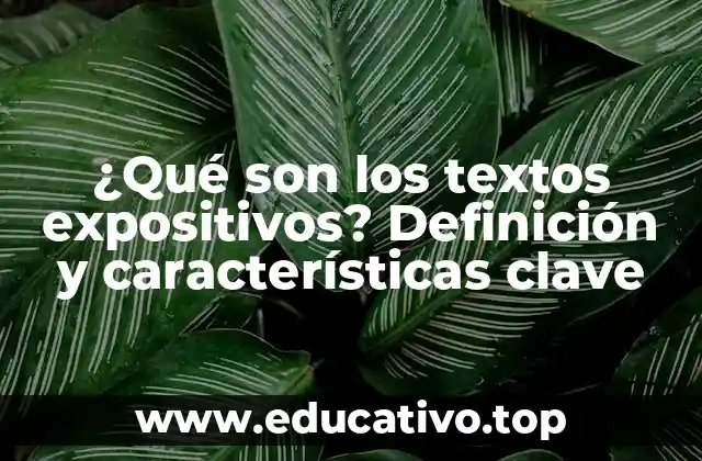 ¿Qué son los textos expositivos? Definición y características clave