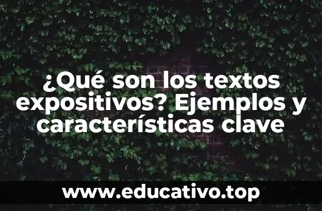 ¿Qué son los textos expositivos? Ejemplos y características clave