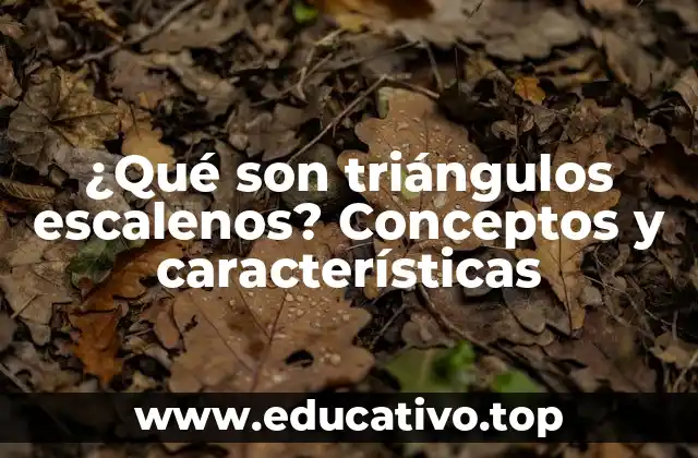 ¿Qué son triángulos escalenos? Conceptos y características