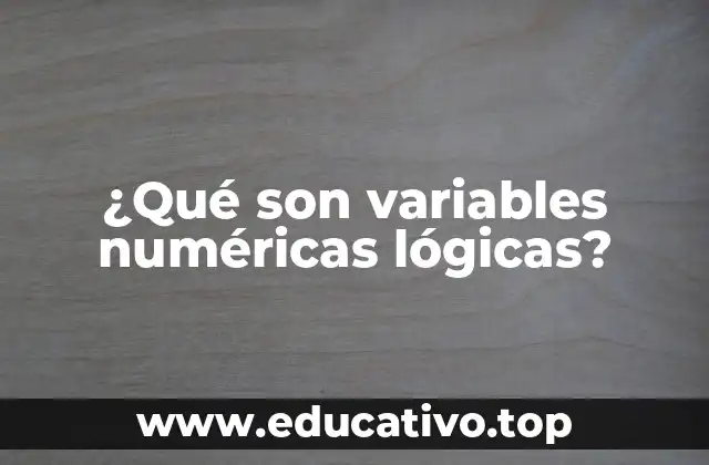 ¿Qué son variables numéricas lógicas?
