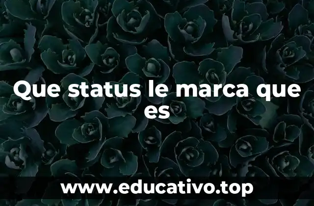 Que status le marca que es