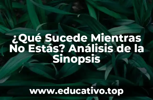 ¿Qué Sucede Mientras No Estás? Análisis de la Sinopsis