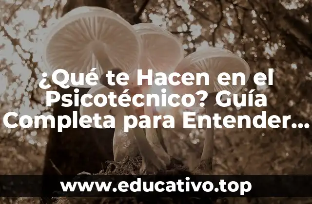 ¿Qué te Hacen en el Psicotécnico? Guía Completa para Entender el Proceso