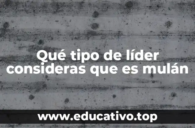 Qué tipo de líder consideras que es mulán