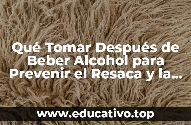 Qué Tomar Después de Beber Alcohol para Prevenir el Resaca y la Deshidratación