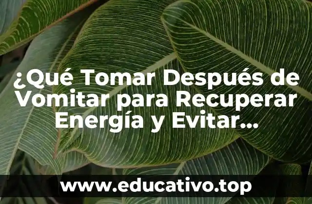 ¿Qué Tomar Después de Vomitar para Recuperar Energía y Evitar Deshidratación?