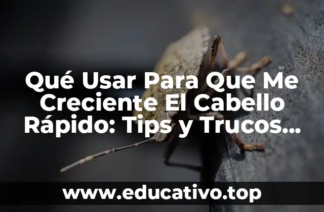 Qué Usar Para Que Me Creciente El Cabello Rápido: Tips y Trucos Naturales