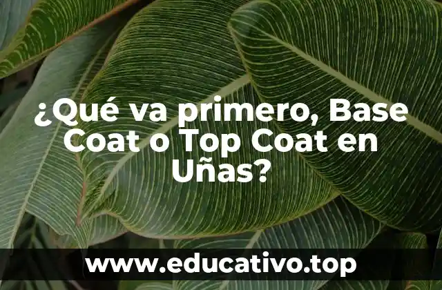 ¿Qué va primero, Base Coat o Top Coat en Uñas?