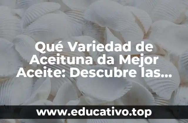 Qué Variedad de Aceituna da Mejor Aceite: Descubre las Mejores Opciones