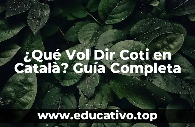 ¿Qué Vol Dir Coti en Català? Guía Completa