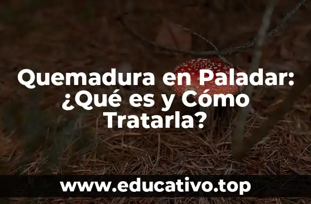 Quemadura en Paladar: ¿Qué es y Cómo Tratarla?