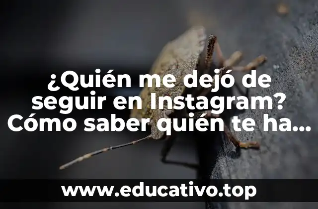 ¿Quién me dejó de seguir en Instagram? Cómo saber quién te ha quitado el seguimiento