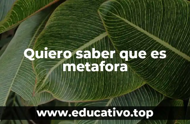 Quiero saber que es metafora