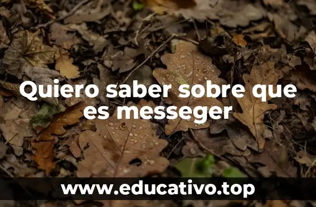 Quiero saber sobre que es messeger