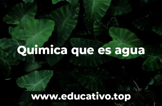 Quimica que es agua