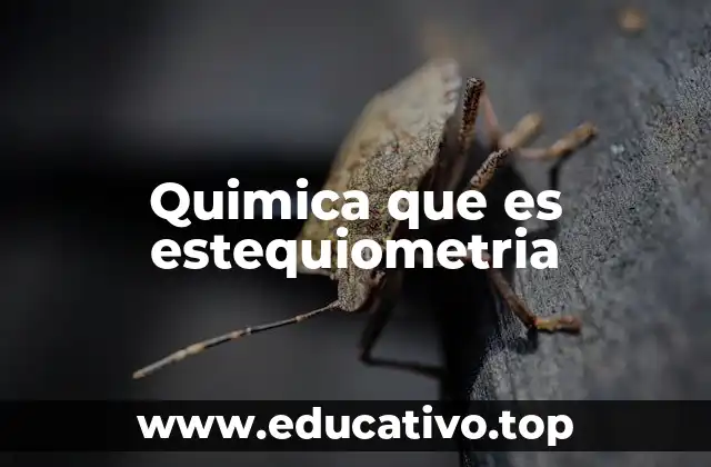 Quimica que es estequiometria