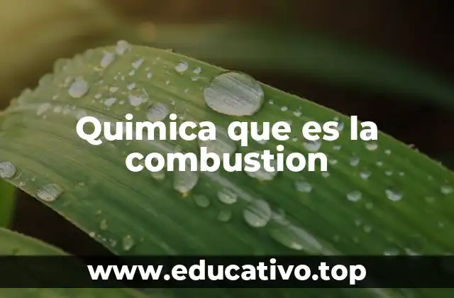 Quimica que es la combustion
