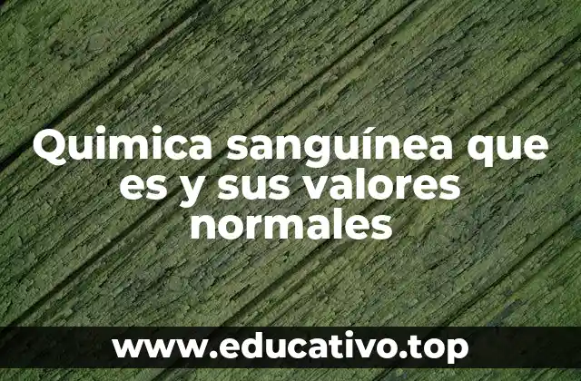 Quimica sanguínea que es y sus valores normales