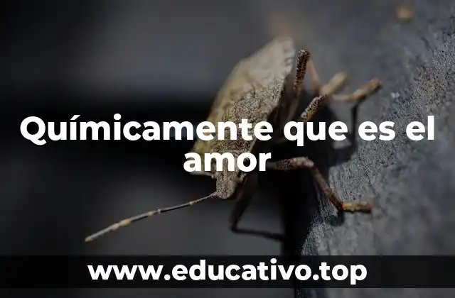 Químicamente que es el amor