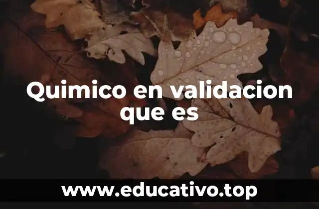 Quimico en validacion que es