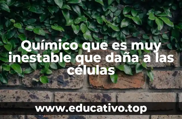 Químico que es muy inestable que daña a las células
