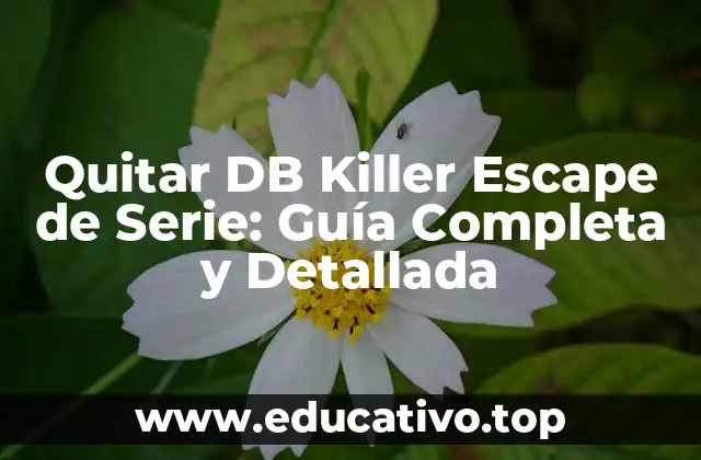 Quitar DB Killer Escape de Serie: Guía Completa y Detallada