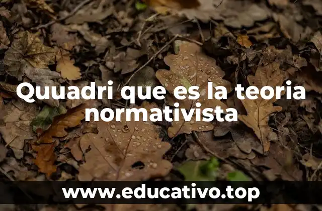 Quuadri que es la teoria normativista