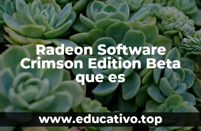 La importancia de las herramientas de personalización en hardware gráfico