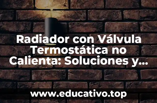 Radiador con Válvula Termostática no Calienta: Soluciones y Causas Comunes