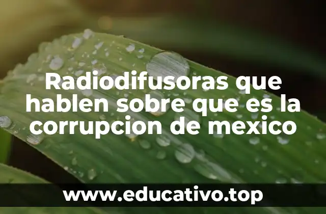 Radiodifusoras que hablen sobre que es la corrupcion de mexico