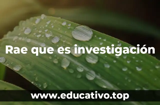 Rae que es investigación