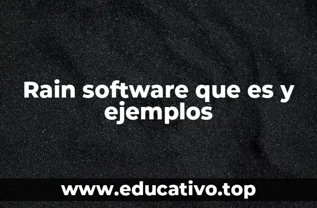 Rain software que es y ejemplos