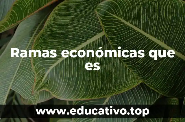 Ramas económicas que es
