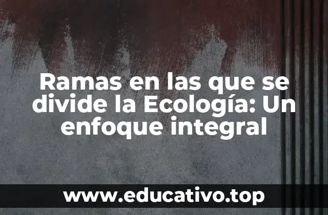 Ramas en las que se divide la Ecología: Un enfoque integral