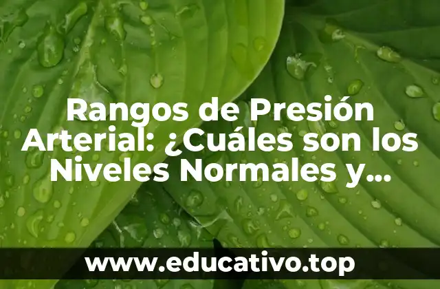 Rangos de Presión Arterial: ¿Cuáles son los Niveles Normales y Anormales?