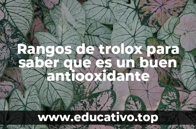 Rangos de trolox para saber que es un buen antiooxidante