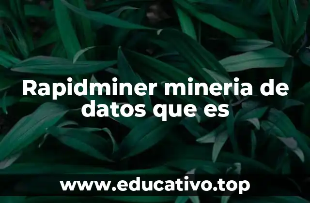 Rapidminer mineria de datos que es