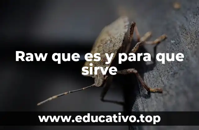 Raw que es y para que sirve