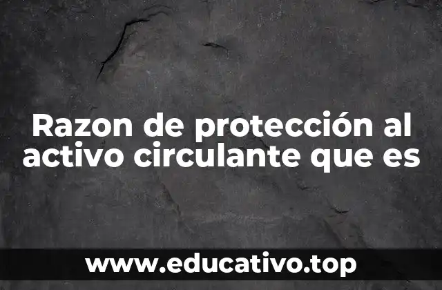 Razon de protección al activo circulante que es