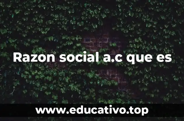 Razon social a.c que es