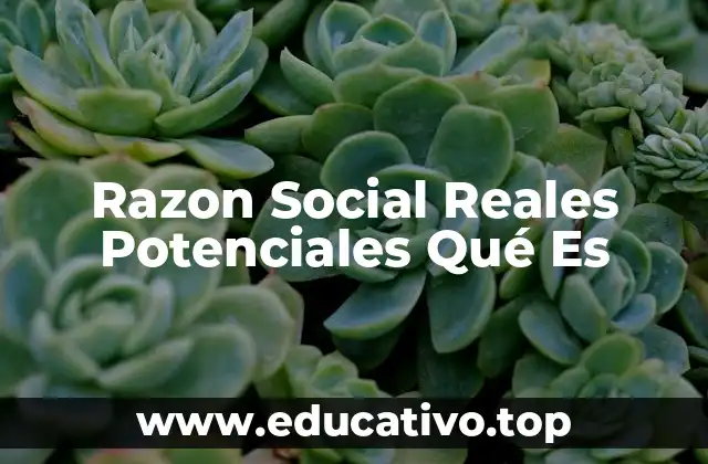 Razon Social Reales Potenciales Qué Es