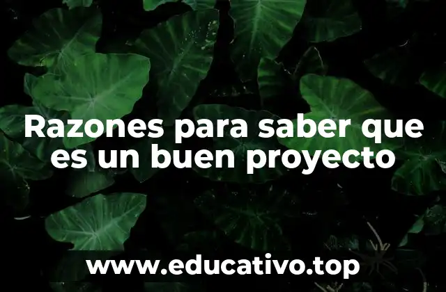 Razones para saber que es un buen proyecto