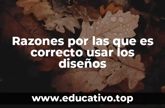 Razones por las que es correcto usar los diseños