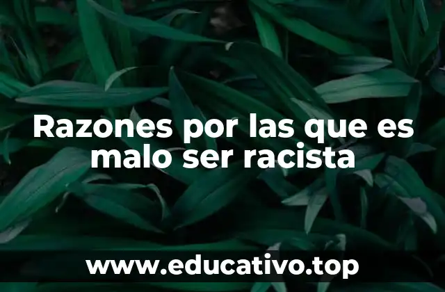 Razones por las que es malo ser racista